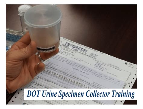 torn seal on urinalysis test vial|dot urine collection flaws.